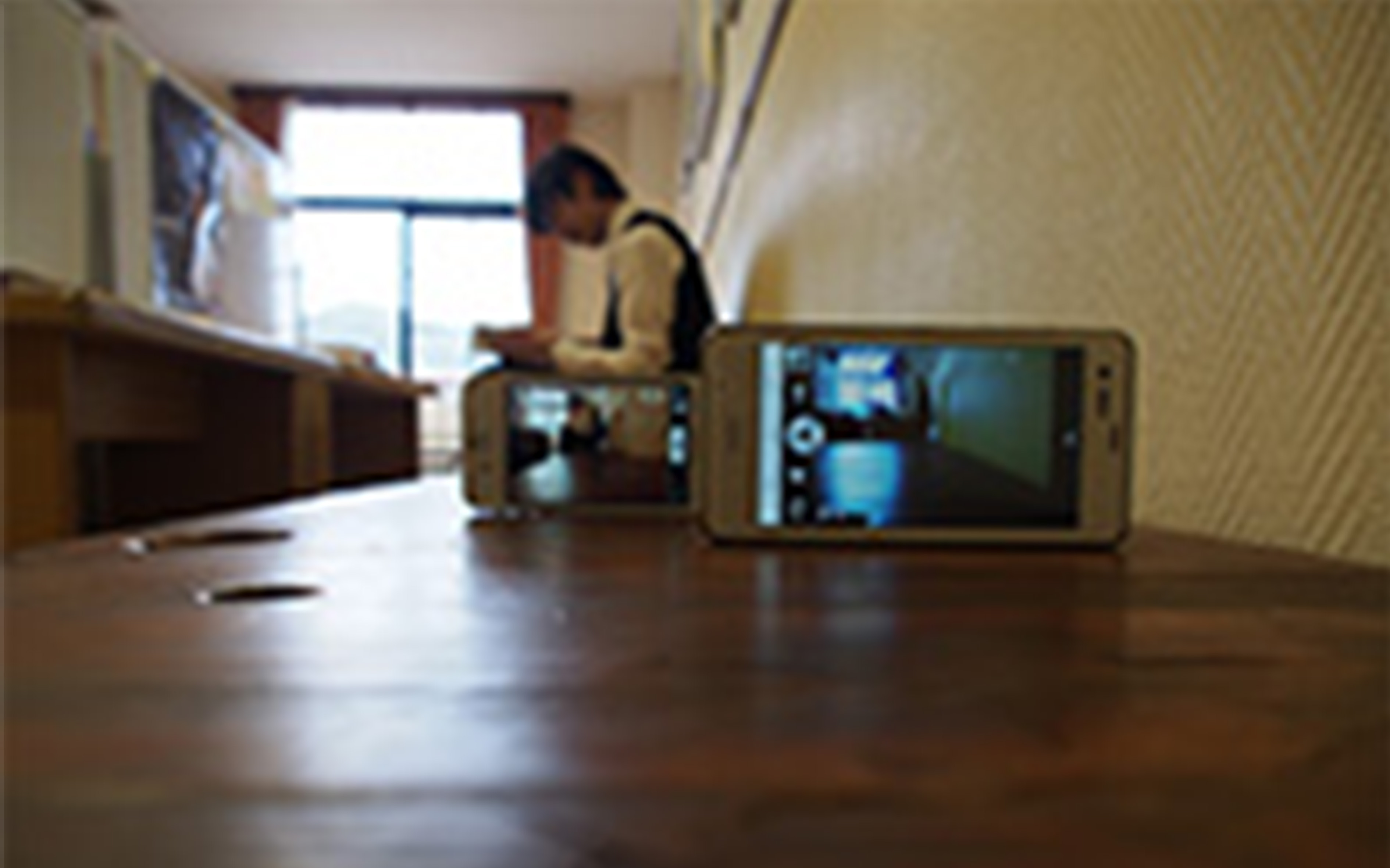 2013年10月：第34回 県高校総合文化祭 写真部門 最高賞 推薦『TRIO』, 2014年7月：第38回 全国高等学校 総合文化祭 写真部門 奨励賞『TRIO』