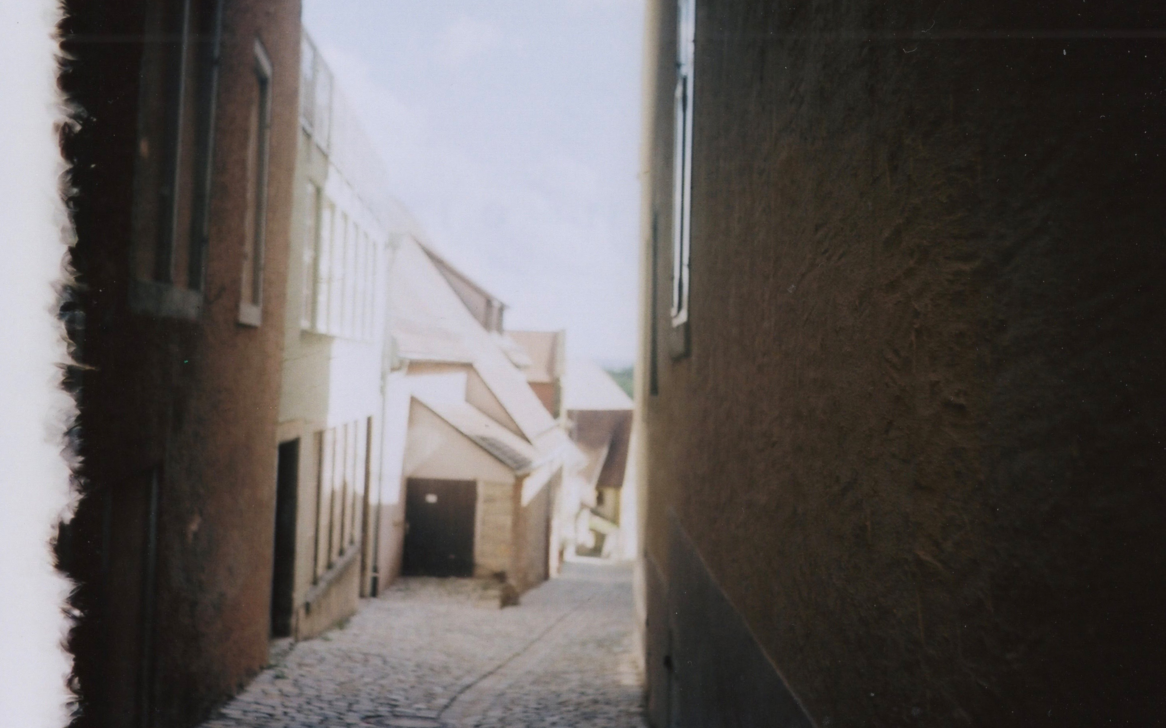 2019年1月：『写ルンです 写真展 Feel the moment vol.2』